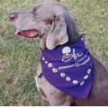 Dark Purple Novelty Triangle Bandanna